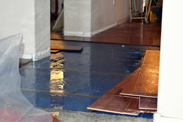 Professional Sewage Cleanup technician working in Levittown, NY